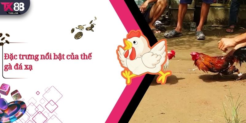 Đặc trưng nổi bật của thế gà đá xạ