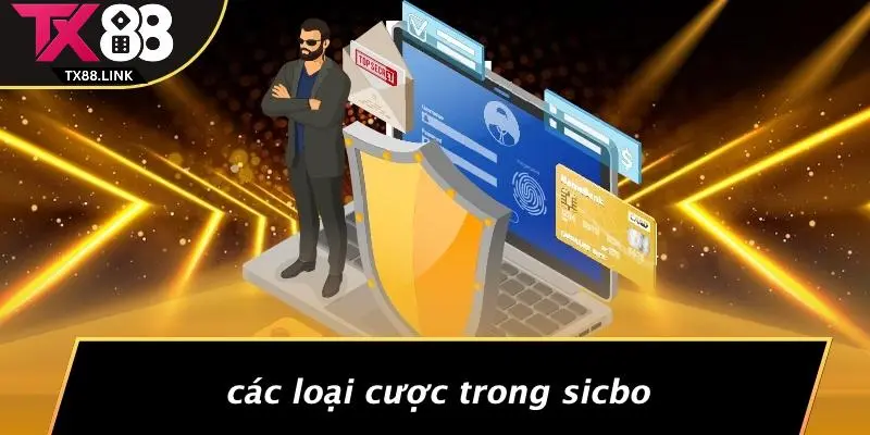 KINH NGHIỆM CHƠI SICBO: BẬT MÍ CHIẾN THUẬT SIÊU ĐỈNH 3 Các Loại Cược Trong Sicbo